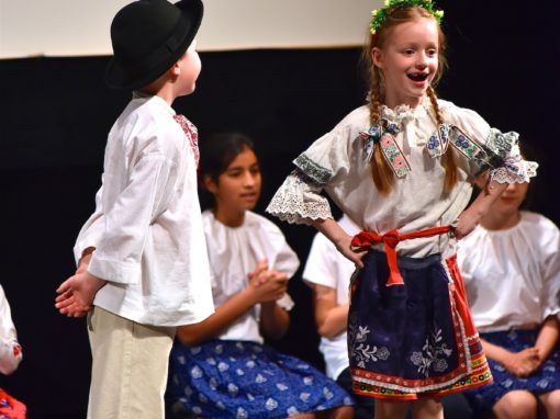 0130-80-vyrocie-zsmh-foto-pavol-harum