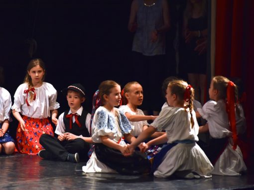 0132-80-vyrocie-zsmh-foto-pavol-harum