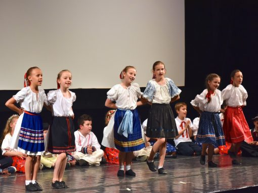 0146-80-vyrocie-zsmh-foto-pavol-harum