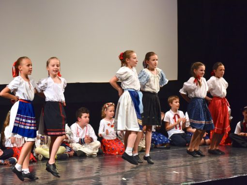 0148-80-vyrocie-zsmh-foto-pavol-harum