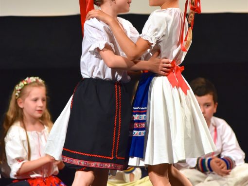 0151-80-vyrocie-zsmh-foto-pavol-harum