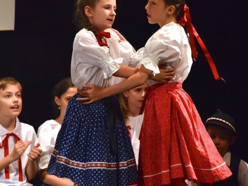 0154-80-vyrocie-zsmh-foto-pavol-harum