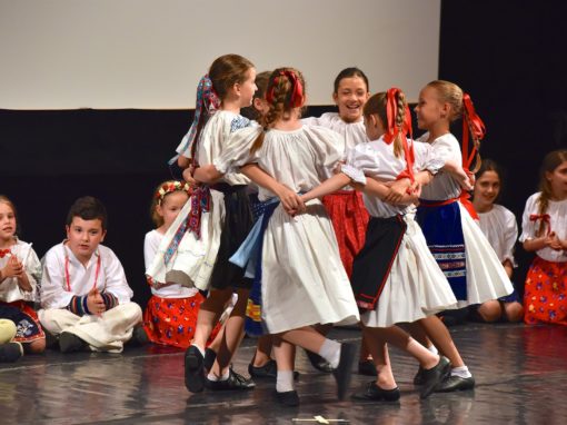 0158-80-vyrocie-zsmh-foto-pavol-harum