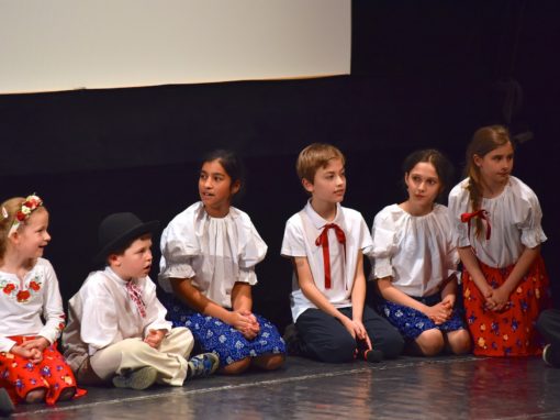 0163-80-vyrocie-zsmh-foto-pavol-harum