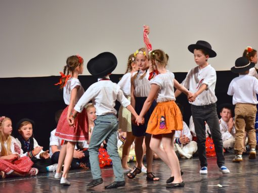 0173-80-vyrocie-zsmh-foto-pavol-harum