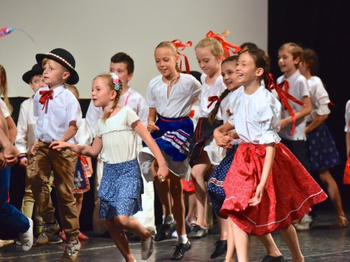 0182-80-vyrocie-zsmh-foto-pavol-harum