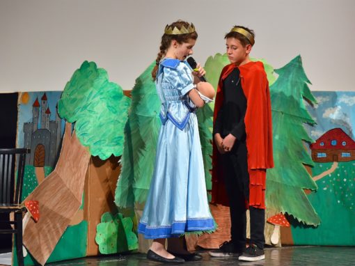 0201-80-vyrocie-zsmh-foto-pavol-harum