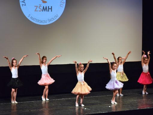 0269-80-vyrocie-zsmh-foto-pavol-harum