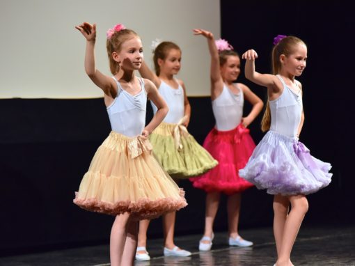 0270-80-vyrocie-zsmh-foto-pavol-harum