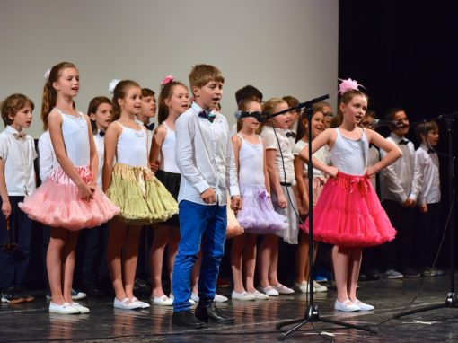 0288-80-vyrocie-zsmh-foto-pavol-harum