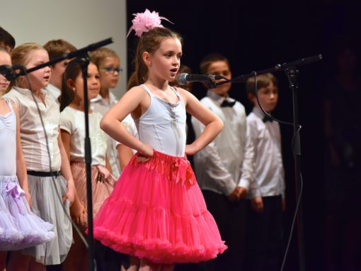 0289-80-vyrocie-zsmh-foto-pavol-harum