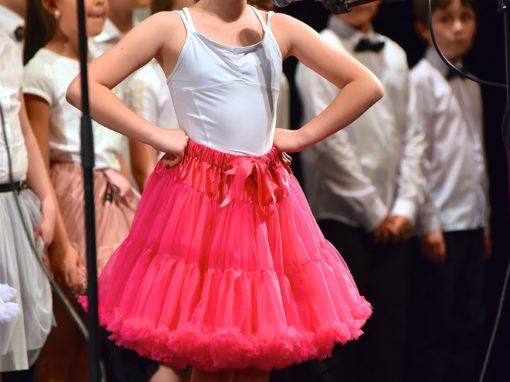 0290-80-vyrocie-zsmh-foto-pavol-harum