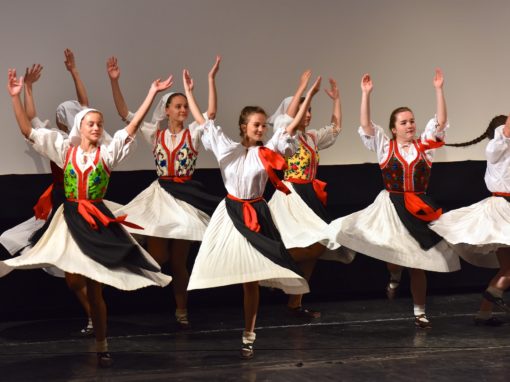 0297-80-vyrocie-zsmh-foto-pavol-harum