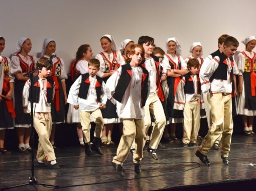 0299-80-vyrocie-zsmh-foto-pavol-harum