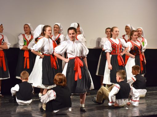 0303-80-vyrocie-zsmh-foto-pavol-harum