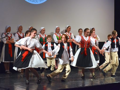 0306-80-vyrocie-zsmh-foto-pavol-harum