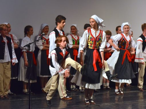 0311-80-vyrocie-zsmh-foto-pavol-harum