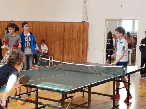 29663173-354875245017120-4896443440916011404-o-354875245017120