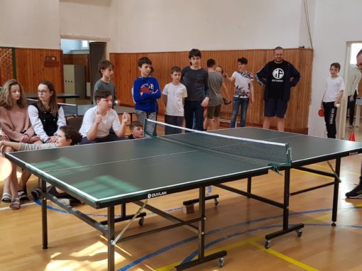 29663244-354874478350530-9198167392760879645-o-354874478350530