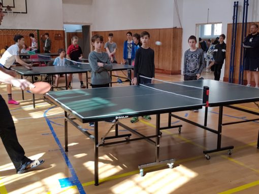 29664715-354874558350522-8361826557459560325-o-354874558350522