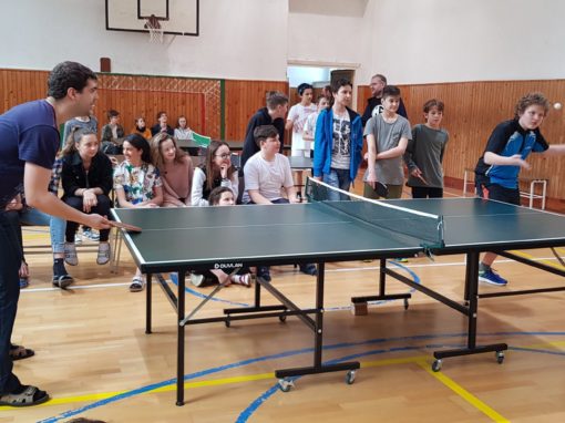 29664970-354876548350323-6537719426901723149-o-354876548350323