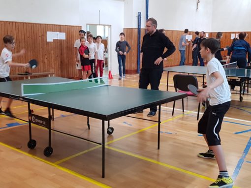 29665080-354874161683895-6761661592774413826-o-354874161683895