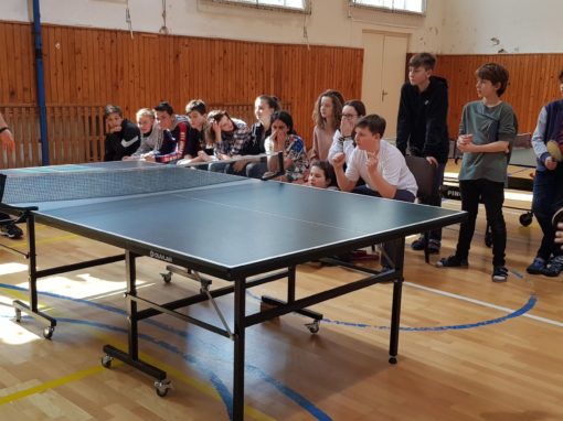 29665151-354876375017007-717770352126601068-o-354876375017007