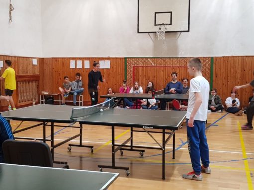 29744293-354872741684037-8277127595709184948-o-354872741684037