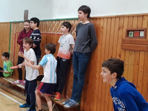 29744366-354872978350680-5110365312205435430-o-354872978350680