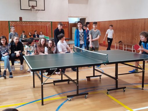 29744408-354876635016981-4613209765944944433-o-354876635016981