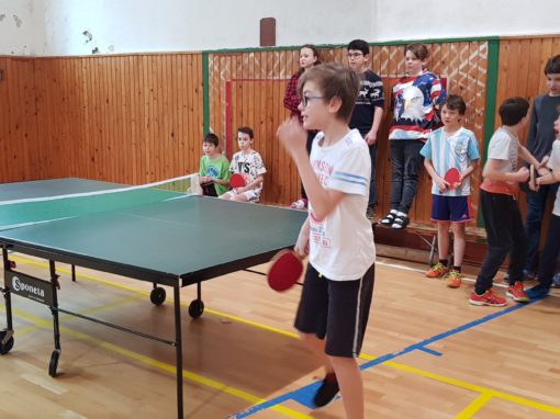 29744725-354873968350581-6114975892767262837-o-354873968350581