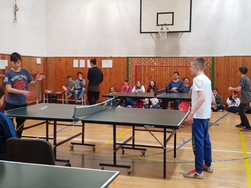 29744745-354872658350712-2437599697393384695-o-354872658350712