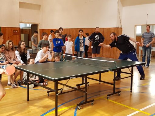 29745038-354875528350425-3960036630053408548-o-354875528350425