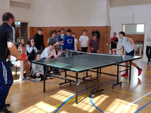 29749223-354876515016993-4592859055844169206-o-354876515016993