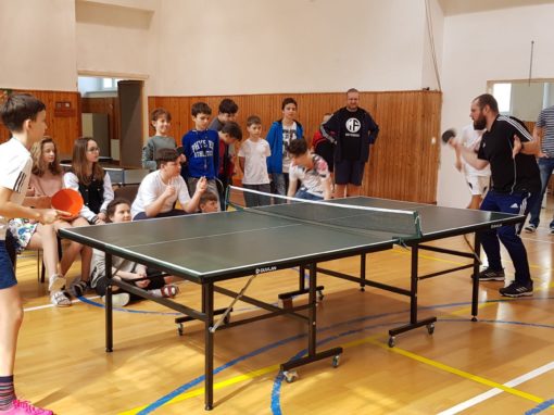 29749460-354875175017127-8767698283710093863-o-354875175017127