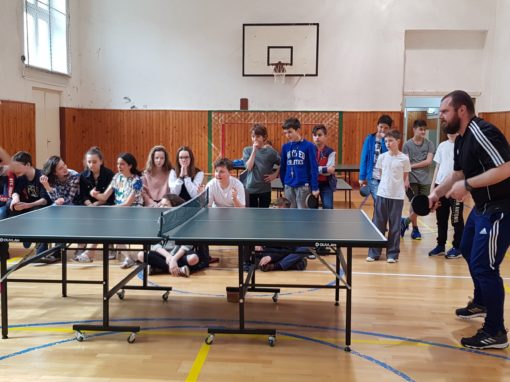 29749532-354876291683682-5758518659901266068-o-354876291683682