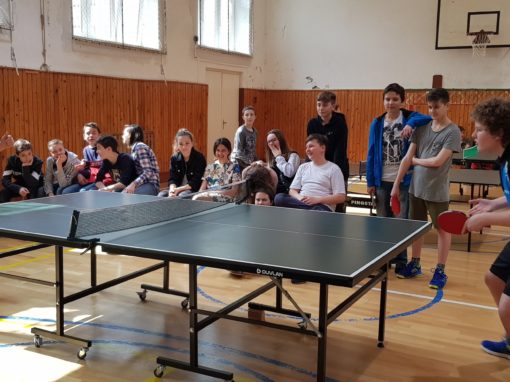 29749801-354877058350272-2865375148523929287-o-354877058350272