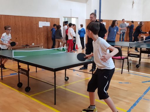 29749830-354872891684022-6172636385701128271-o-354872891684022