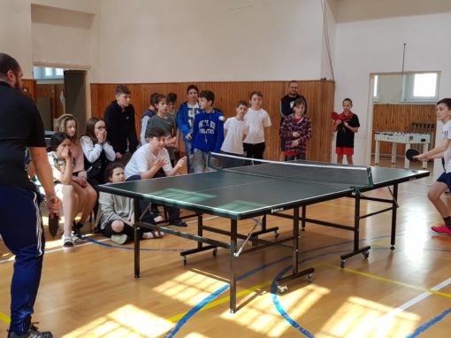 29749893-354876545016990-6477383419353264139-o-354876545016990