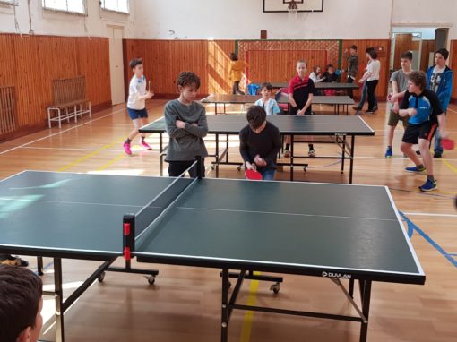 29871543-354874061683905-2616016678722930864-o-354874061683905