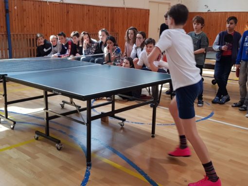 29872250-354876435017001-979980135557112697-o-354876435017001