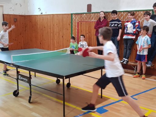 29873195-354874221683889-9064291333828822682-o-354874221683889