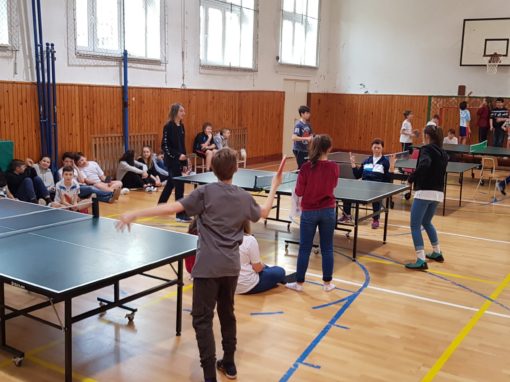 29873246-354873511683960-3662709390465257677-o-354873511683960