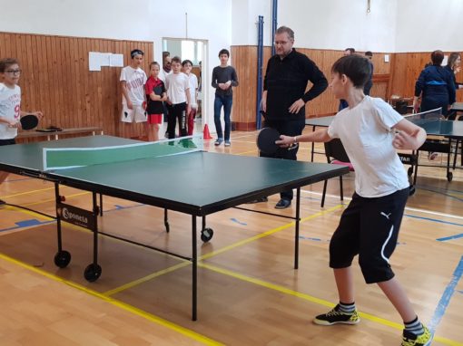 29873486-354874225017222-7958566644816357932-o-354874225017222