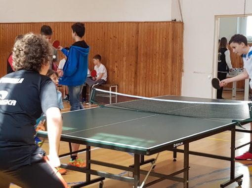 29983079-354875058350472-8802791932212265296-o-354875058350472