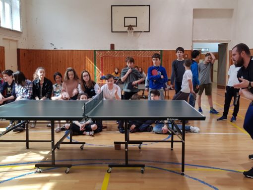 29983420-354876105017034-5258656294925711172-o-354876105017034