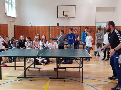 30051616-354876311683680-8467302837995015068-o-354876311683680