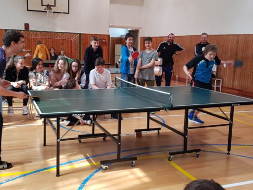 30051947-354876651683646-5074106579336400947-o-354876651683646