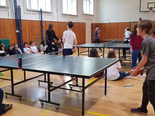 30073541-354873435017301-5518192607854767651-o-354873435017301