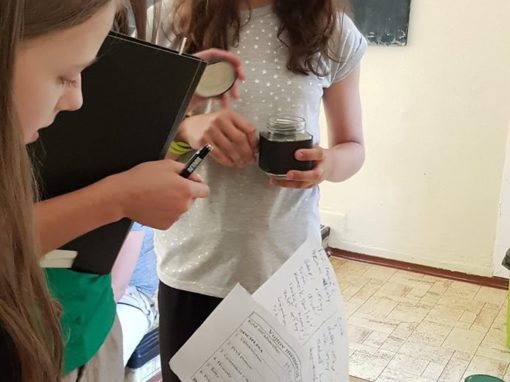 34511264-381321152372529-4390831163615215616-o-381321142372530